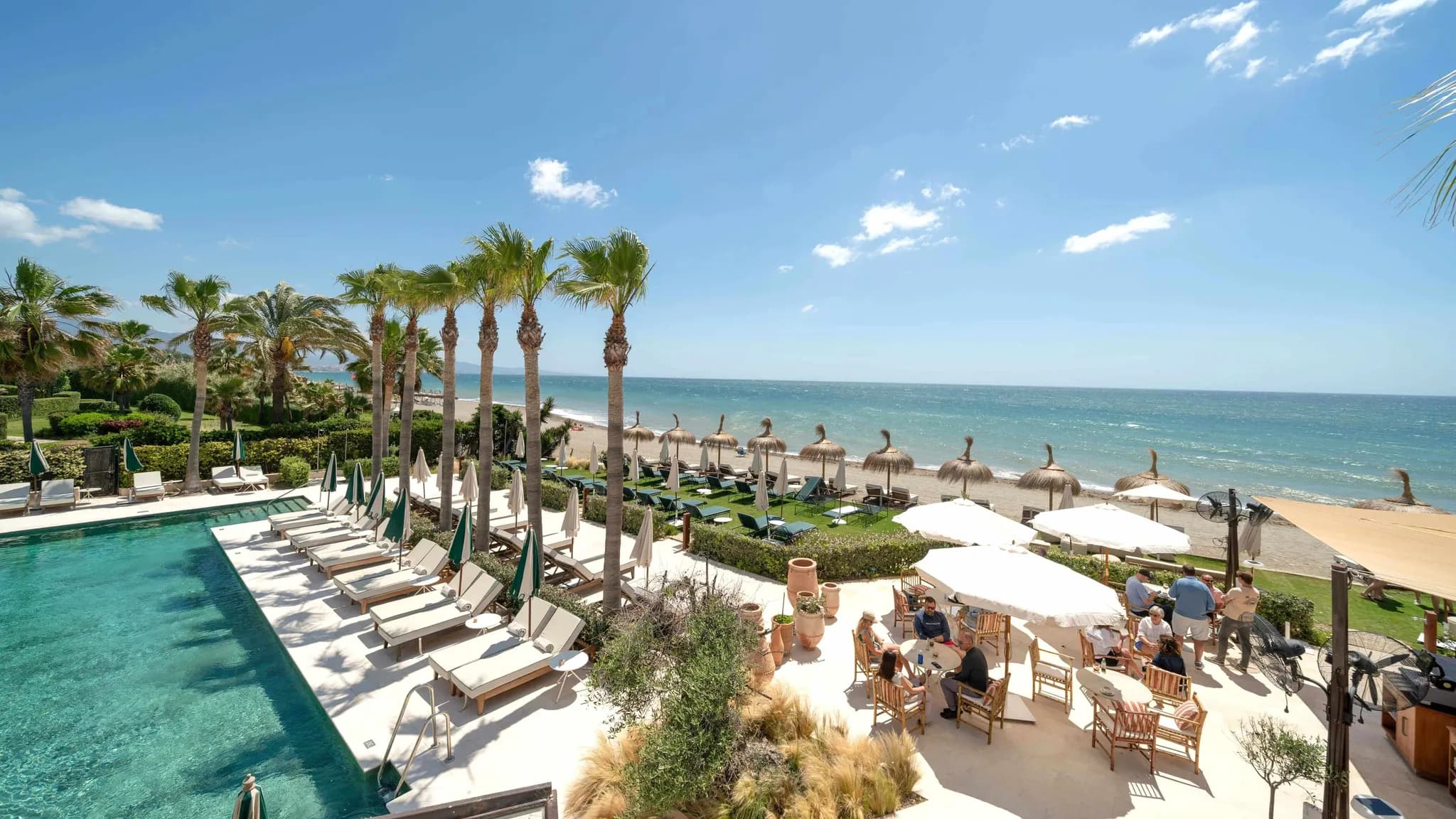 Beachfront hotel pool lined with palm trees and sun loungers, with guests on the terrace by the sea