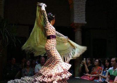 Flamenco Show Seville