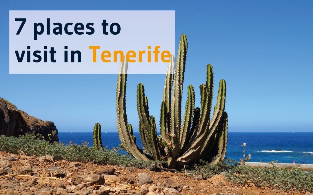 7 Reasons to put Tenerife on your bucket list.