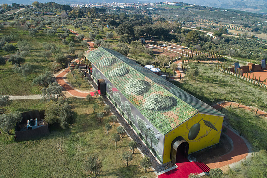olive farm
